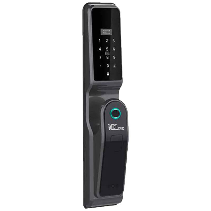 WD-LINK WD20P Maroc